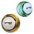 Voetbal Vittali Loca