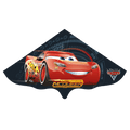 Vlieger Cars