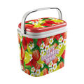 Koelbox Summer Time Fruit 27L
