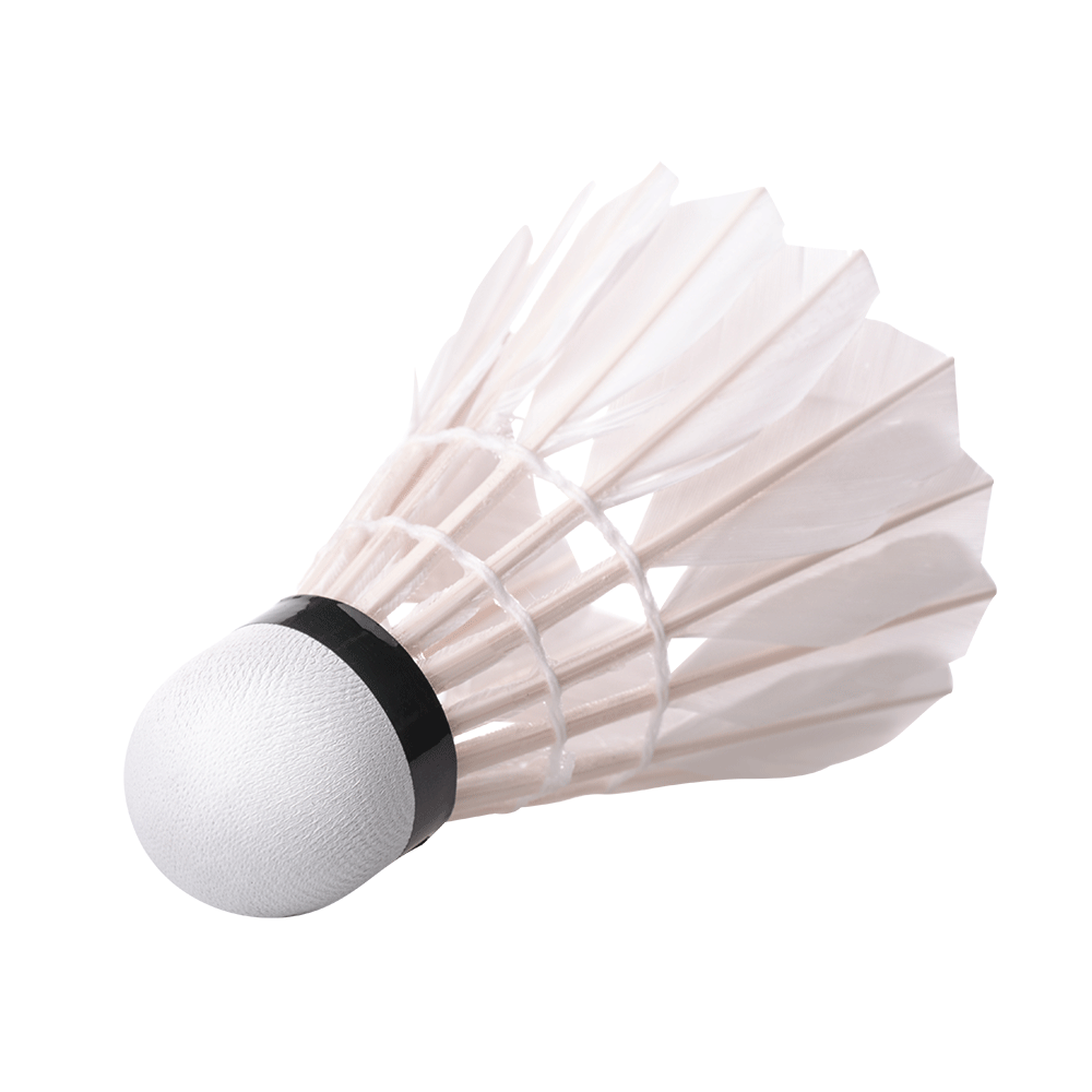 commentaar Opvoeding bom Badminton shuttle veer 5 stuks | Summertoys