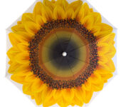 Strandparasol Sunflower 180 cm