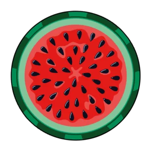 Strandlaken Watermeloen