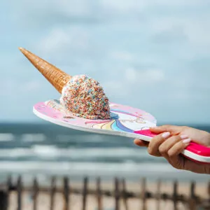 Beachball set unicorn