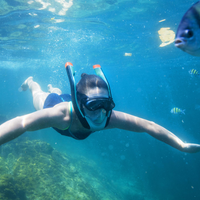 Flowtech Snorkelmasker S/M