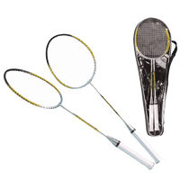 Badminton Set Pro
