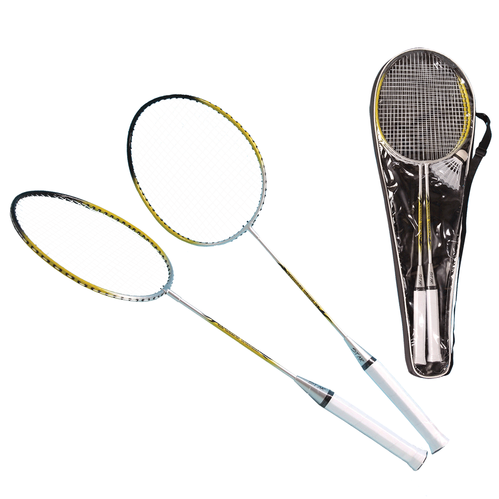 Badminton Set Pro