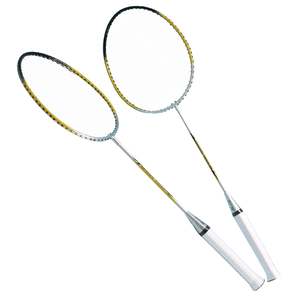 Badminton Set Pro