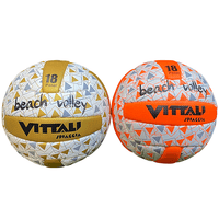 402285 volleybal