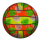 Volleybal Vittali Pacific