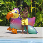 Dandy Dodo Ride-On