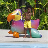 Dandy Dodo Ride-On