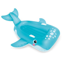 Blue Whale Ride-on