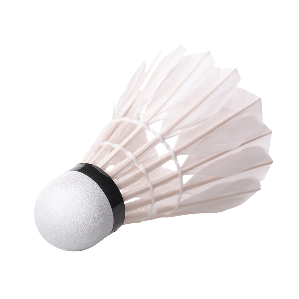 Shuttle veer