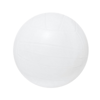 Waterpolodoel incl. bal