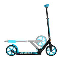Step Skids Control 200